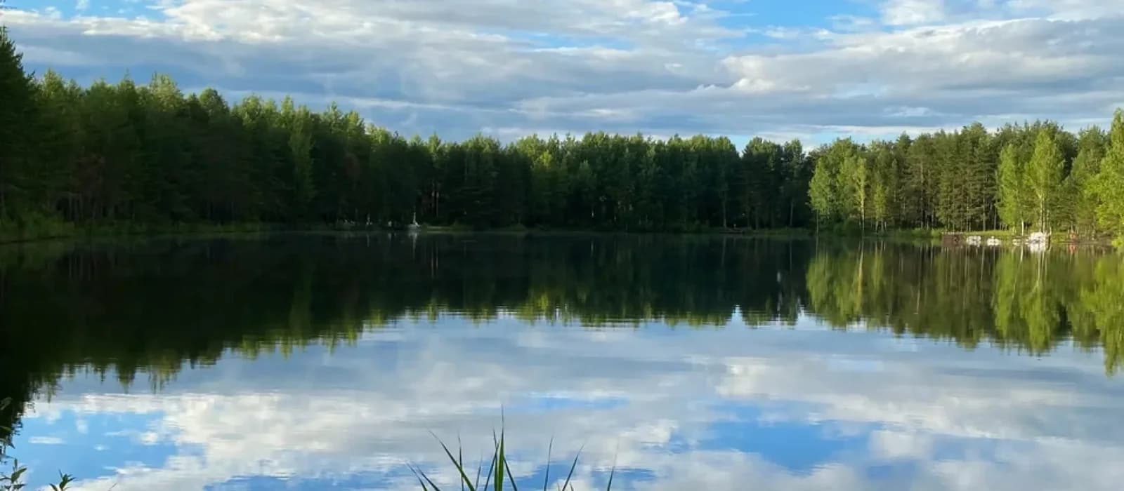 Хвоя Ногинск, фотография 5